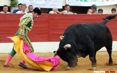 Entretien avec Gómez DEL PILAR