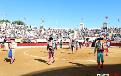TOROS EN VIC 2020 EN CASA