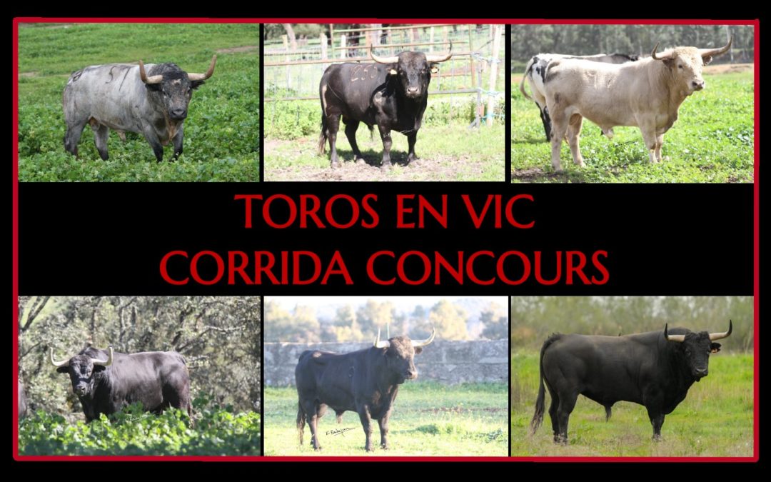 CORRIDA CONCOURS